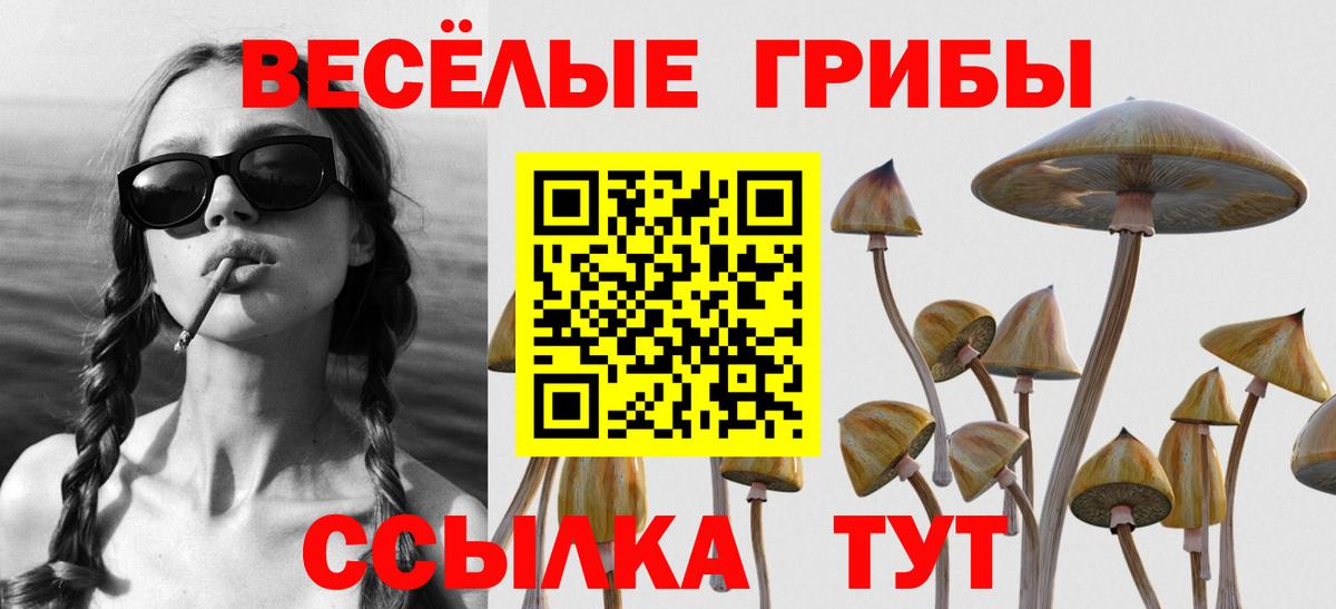 Псилоцибиновые грибы MAGIC MUSHROOMS  Вход с VPN  Галлюциногенные грибы прущие грибы  Щёлково 