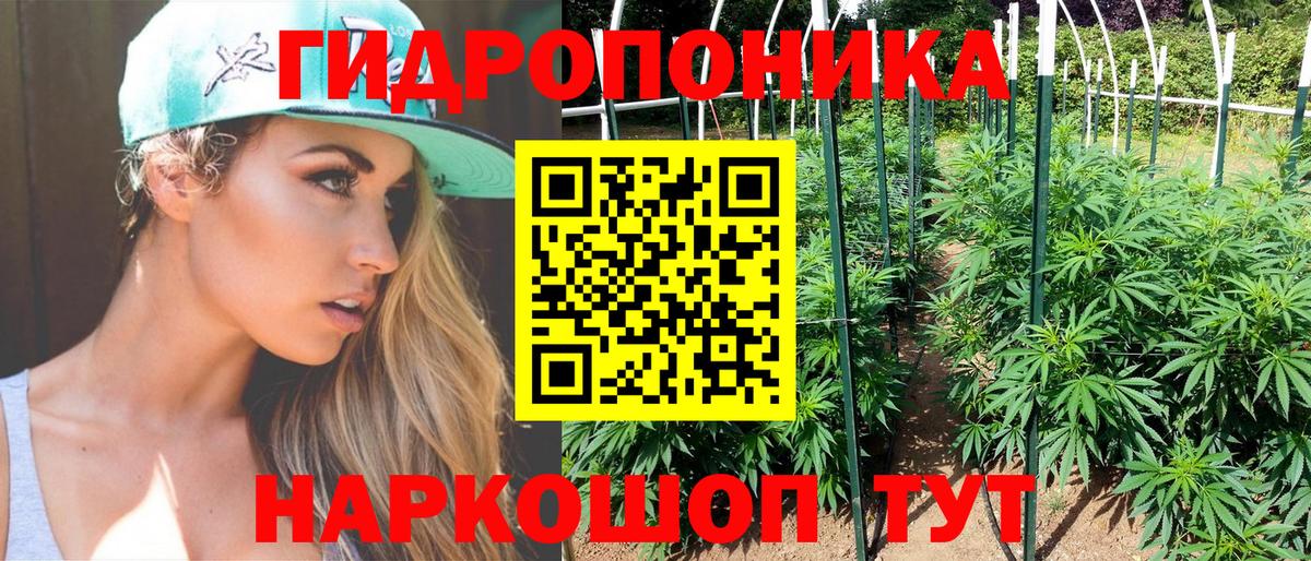 Шишки марихуана ГИДРОПОН Щёлково
